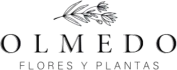 Olmedo Flores y Plantas